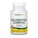 Chlorophyll 600mg (дієтична добавка) - 90 vcaps 2023-10-3226 фото 1
