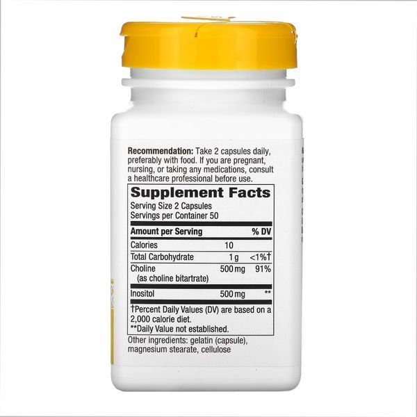 Инозитол Choline & Inositol - 100 caps 2022-10-1076 фото