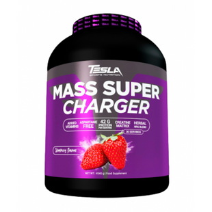 Mass Super Charger - 4540g Chocolate 2022-09-0437 фото