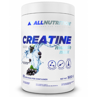 Creatine Muscle Max - 500g Pear 100-91-6054569-20 фото