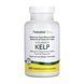 Kelp (йод) - 300 tabs 2023-10-2363 фото 1