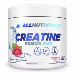 Creatine Muscle Max - 250g Blueberry 2023-10-2331 фото