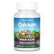 Кальцій Kids Calcium Chewable Sugarfree - 90 tabs 2022-10-2843 фото 1